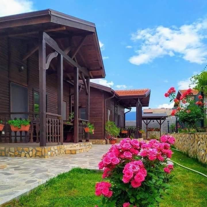 Andreevite Houses ساباريفا بانيا المظهر الخارجي الصورة